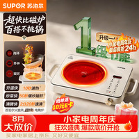 苏泊尔 电陶炉 2200W大火力  C22-CS23