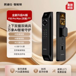 凯迪仕 P30 Pro Max 3D人脸识别远程视频智能锁