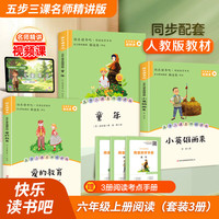 六年级经典名著套装共3册 童年+小英雄雨来+爱的教育