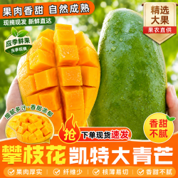 四川凯特大青皮芒果 净重4.5斤（单果200-400g）