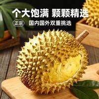 曼莱香 正宗泰国金枕榴莲整个新鲜带壳鲜果批发进口水果整箱现摘现货包邮 精品榴莲8-10斤(2-4个装)