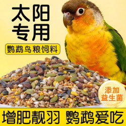 小太阳 鹦鹉鸟粮专用粮食饲料鸟食混合型种子粮幼鸟营养增肥大颗粒 1000g-小太阳鹦鹉鸟粮 2斤