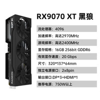 讯景   9070xt