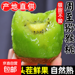 猕猴桃8枚装（单果70-90g）