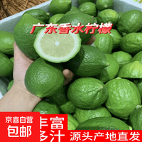 香水柠檬单果60g起净重0.8斤