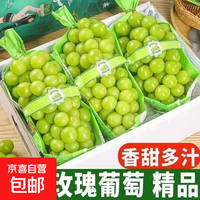 阳光玫瑰 4斤净重3-3.6斤单果10g+