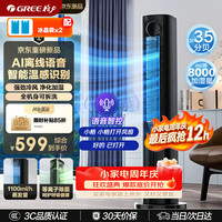 格力 冷静宝家用空调扇冷风扇等离子除菌静音KS-06S80DVag