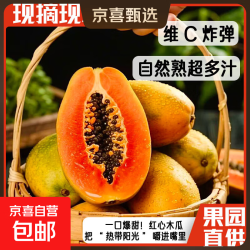 京喜加 红心牛奶木瓜  净重5斤
