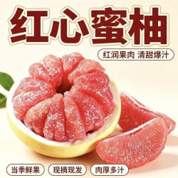 晟茂甄农福建红心蜜柚 三红柚新鲜采摘孕妇水果清甜爆汁柚子当季时令生鲜 净重4-5斤（2-3枚）