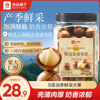良品铺子 精选夏威夷果500g*1罐
