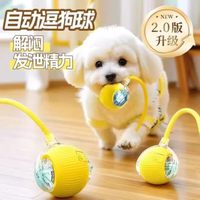 HELLOJOY 狗狗玩具球自动遛狗神器智能电动逗狗耐咬自嗨解闷小狗宠物球用品