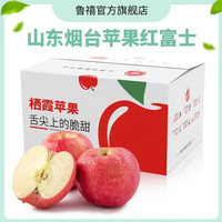 九曲食珍 红富士 生鲜特产脆甜整箱苹果 净重8.5斤装(单果果径75-80mm)