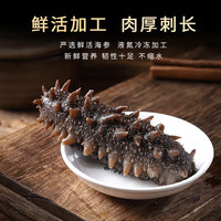 典品堂 颐口福 大连鲜活 即食海参10根（8-10cm/只）