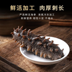 典品堂 颐口福 大连鲜活 即食海参10根（8-10cm/只）