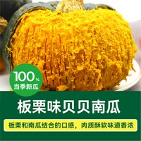 绿行者 贝贝南瓜