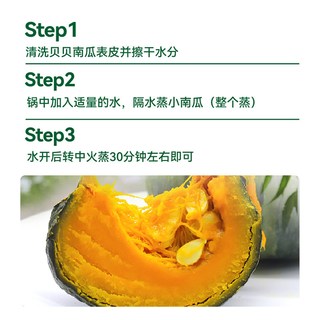 绿行者 贝贝南瓜