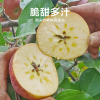 吉果叔 正宗大凉山冰糖心苹果 净重4.5-5斤 单果60-65mm