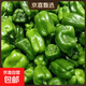 现摘新鲜绿菜椒圆椒 带箱1斤净重0.9斤