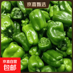 现摘新鲜绿菜椒圆椒 带箱1斤净重0.9斤