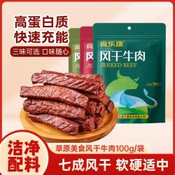 食乐康 内蒙古手撕风干牛肉干100g 独立小包装办公休闲零食特产 9成干超干100g*2
