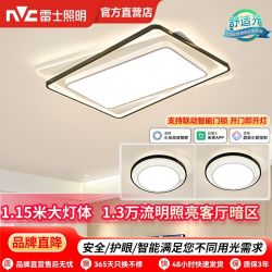 雷士 Lighting照明客厅灯LED吸顶灯简约北欧灯具客厅灯新款卧室灯家居套餐