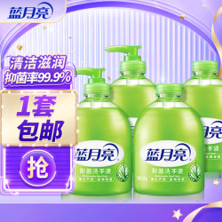 蓝月亮 芦荟抑菌洗手液 500g