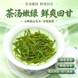 简小禾 五峰采花毛尖 特级新茶嫩芽尖 500g