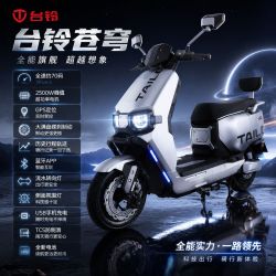 台铃 苍穹 电动摩托车 空车