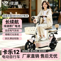 绿源 卡乐12 新国标电动自行车 48V20Ah