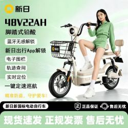 新日 云极 新国标电动自行车 48V22Ah