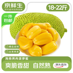 京鲜生 海南黄肉菠萝蜜 净重18-22斤