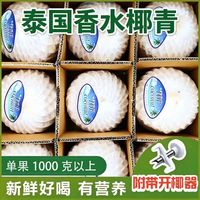 泰国香水椰青特大果4个