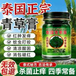 泰国青草膏止痒瘙痒蚊虫叮咬凉油风油精止皮肤瘙痒晕车1瓶