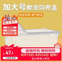 龟真寿 爬宠饲养盒加大号  角蛙蜈蚣蝎子蜘蛛饲养盒宠物蛇饲养箱乌龟蜗牛