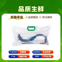 三都港 新鲜活鳗鱼整条440-900g/条淡水河鳗烧烤食材养殖生鲜水产