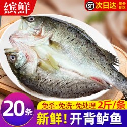 缤鲜 开背新鲜 海鲈鱼