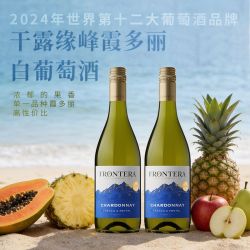 干露 缘峰夏多内/霞多丽干白葡萄酒智利原瓶进口红酒750ml双支装