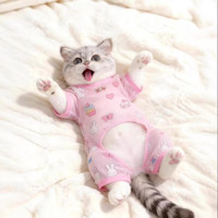 阿莫尔 猫咪衣服夏天薄款透气凉凉衣防掉毛狗狗空调服防晒衣小猫咪家居服 小兔子四脚衣