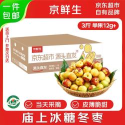 京鲜生 山西冰糖冬枣 净重3斤 单果12g起 新鲜水果 源头直发 净重3斤 单果12g+