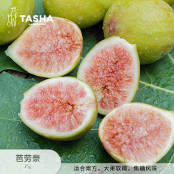 塔莎的花园 无花果树果苗盆栽特大果波姬红青皮南方北阳台室内种植 芭劳奈160 60cm以下