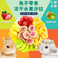 LNGA LANDGRE 兔子磨牙冻干水果沙拉小动物零食天然水果脆兔兔仓鼠龙猫豚鼠150g 水果沙拉(