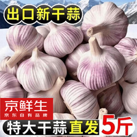 京鲜生 河南开封大蒜带皮新鲜干蒜净重5斤单果5.5cm起 源头直发 5斤