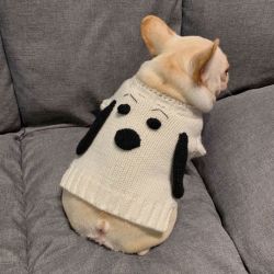 宠物狗狗衣服泰迪雪纳瑞法斗衣服秋冬保暖猫咪小狗巴哥比熊毛衣服 小狗米白62 L码胸围48背长32-35脖围30