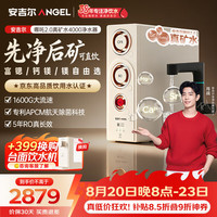 安吉尔 1600G流速 净水器 矿化滤芯