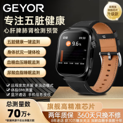 纪耀（GEYOR）无创血糖血压尿酸监测五脏健康诊断微体检健康血糖手表监测心肝脾肺肾脏