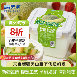 天润 哈密瓜奶皮子酸奶 800g