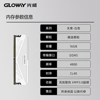 光威 龙武系列 DDR5 6400MHz 台式机内存 马甲条 CL32 海力士M-die颗粒