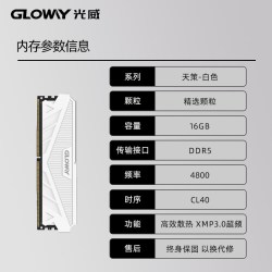 光威 龙武系列 DDR5 6400MHz 台式机内存 马甲条 CL32 海力士M-die颗粒