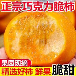 鲜想美 现摘脆柿子脆甜新鲜巧克力硬柿子无核水果整箱甜柿子软柿