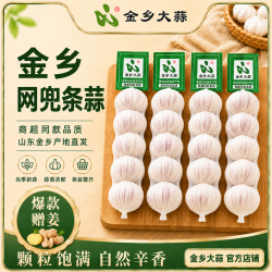 金乡大蒜 山东金乡紫皮干蒜2026当季新蒜精选大果网兜包装商超同（3条装 净重660g+） 爆款赠姜
